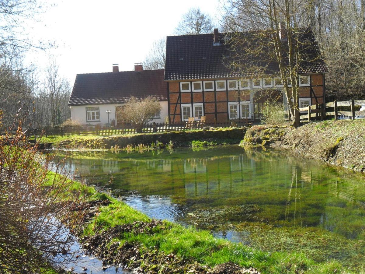 Hoellenmuehle Bed & Breakfast At The Mill Pond Hessisch Oldendorf Екстер'єр фото